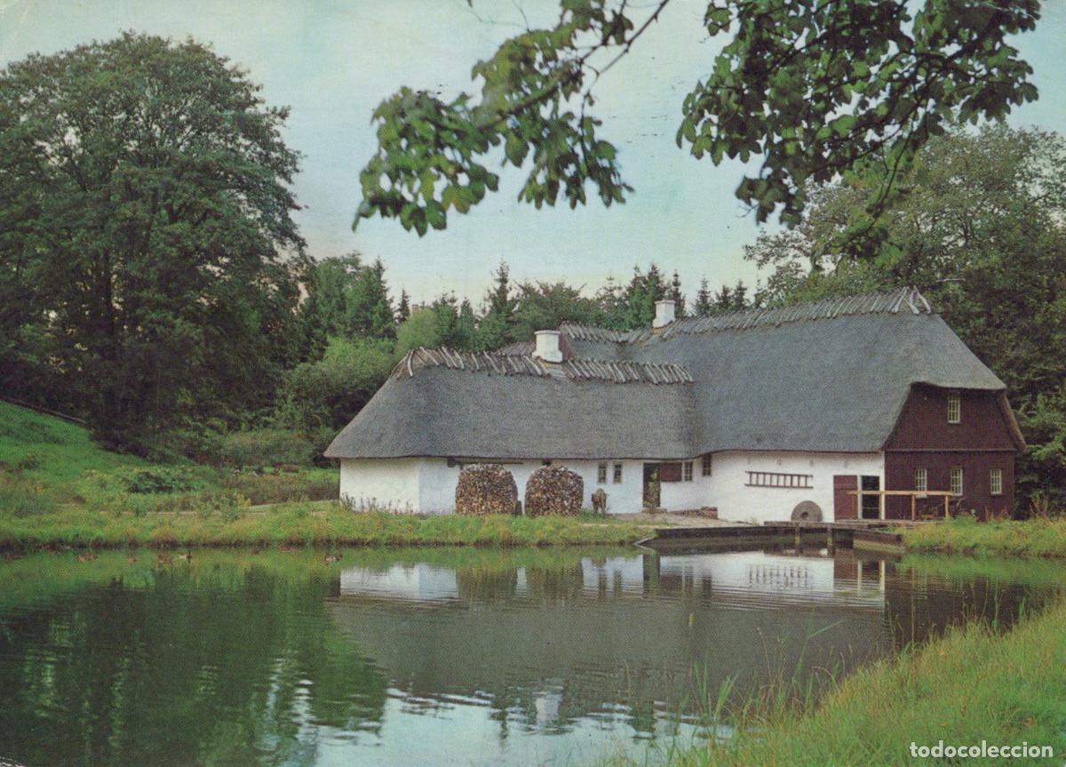 Postcards: Denmark Ellested Watermill By Pond Thatched Roof Rural Landscape *YAM830