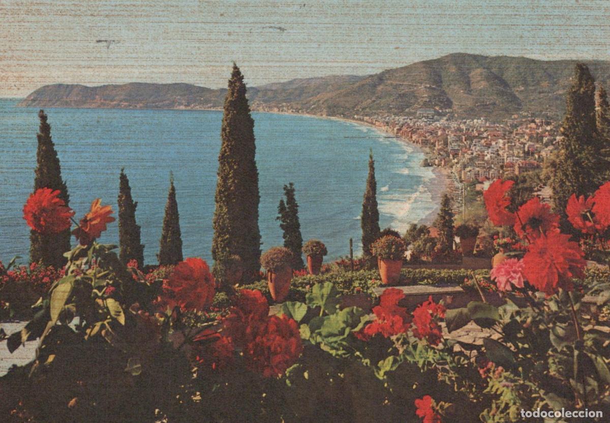 Postcards: Italy Alassio Riviera Dei Fiori Panoramic View With Flowers and *YAM574