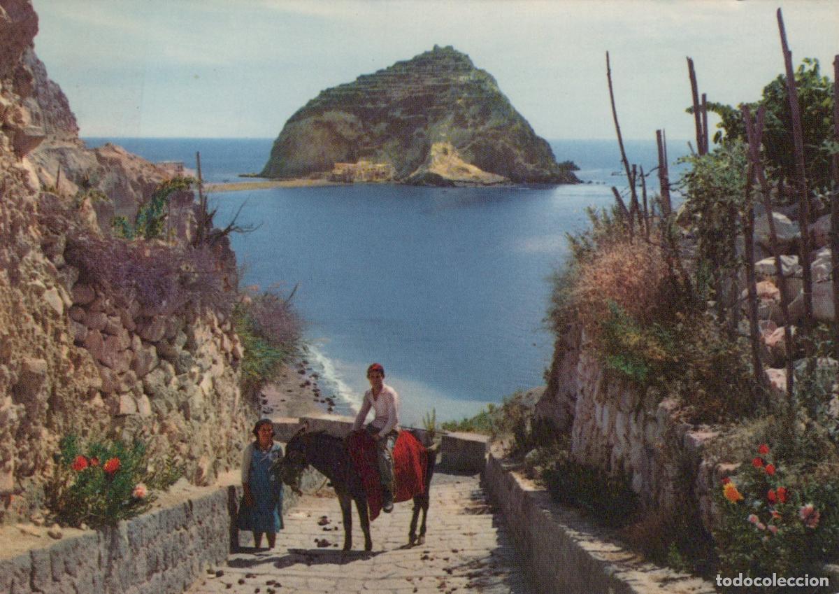 Cartoline: Italy Ischia S Angelo Parco DI Apollon Donkey Ride To Sant Angelo Island *YAM584