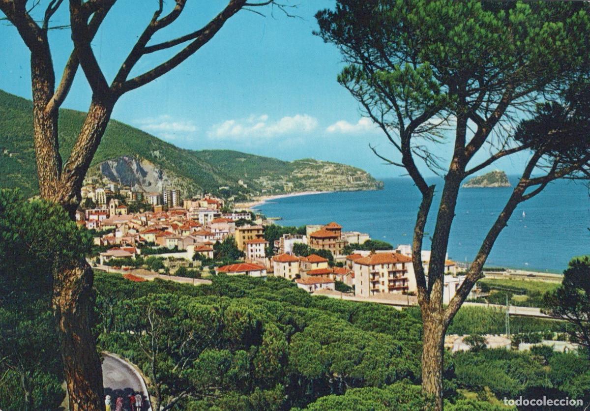 Postales: Italy Spotorno Riviera Delle Palme Panorama From the Grove of Pines *YAM967