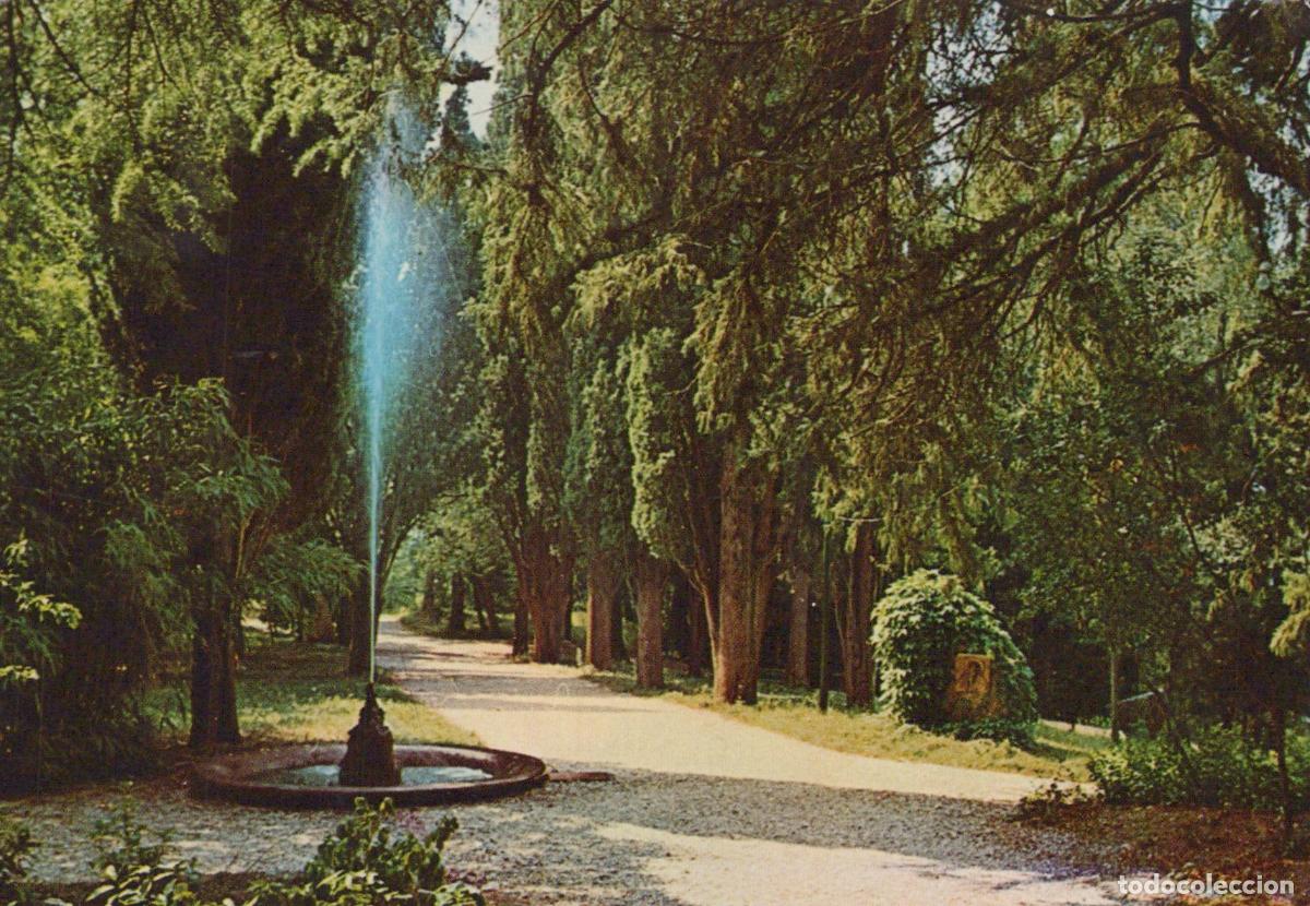 Postais: Italy Villazzano Park With Fountain and Tree Lined Path 1950s *YAM749