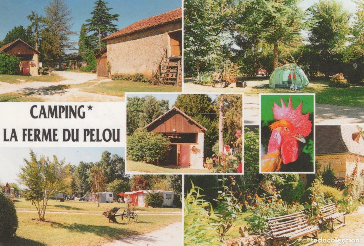Postais: France Les Eyzies de Tayac Camping la Ferme du Pelou Rural Farm Unposted *YAM753