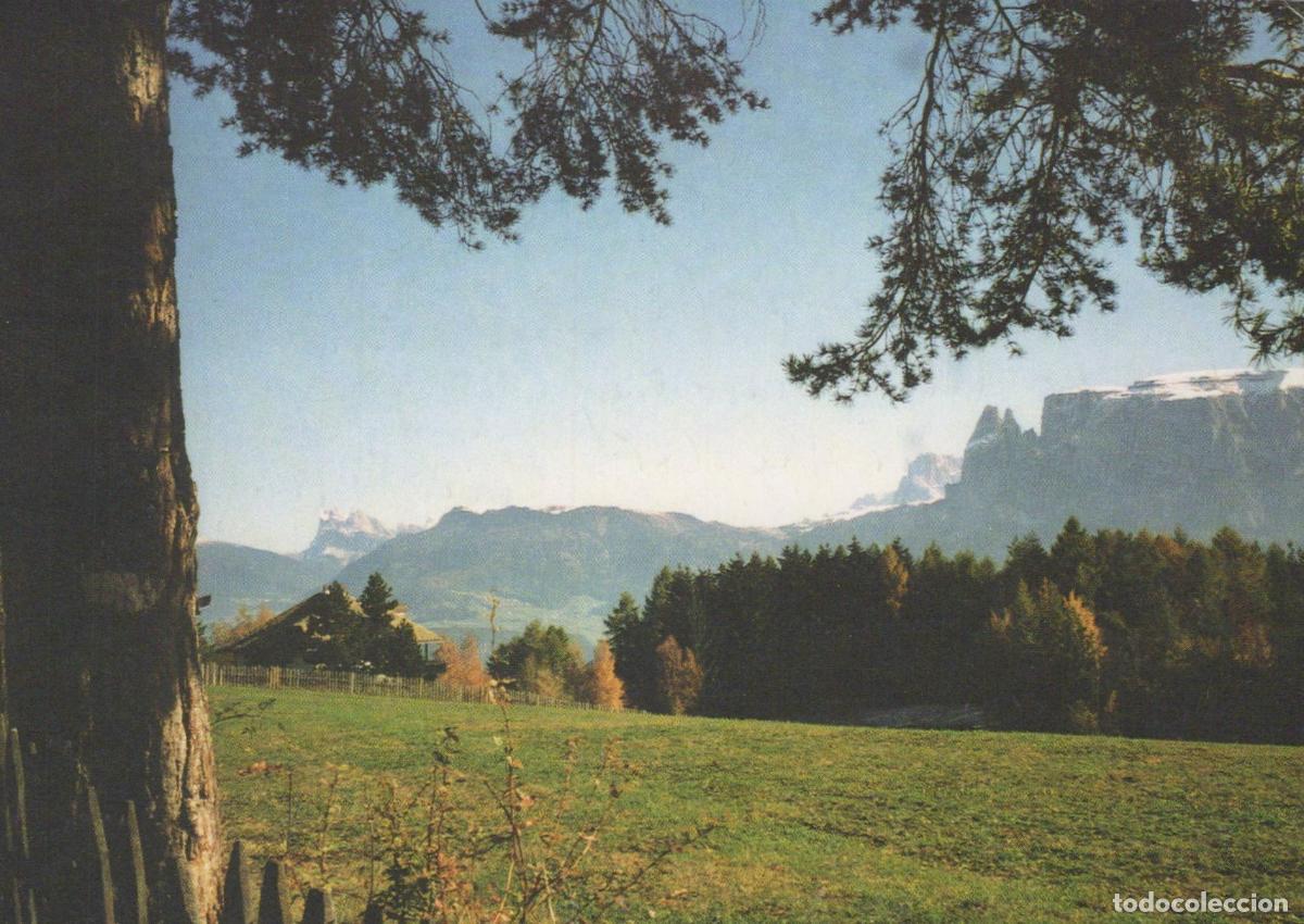 Postais: Italy Ritten South Tyrol Landscape With Mountains and Forest *YAM774