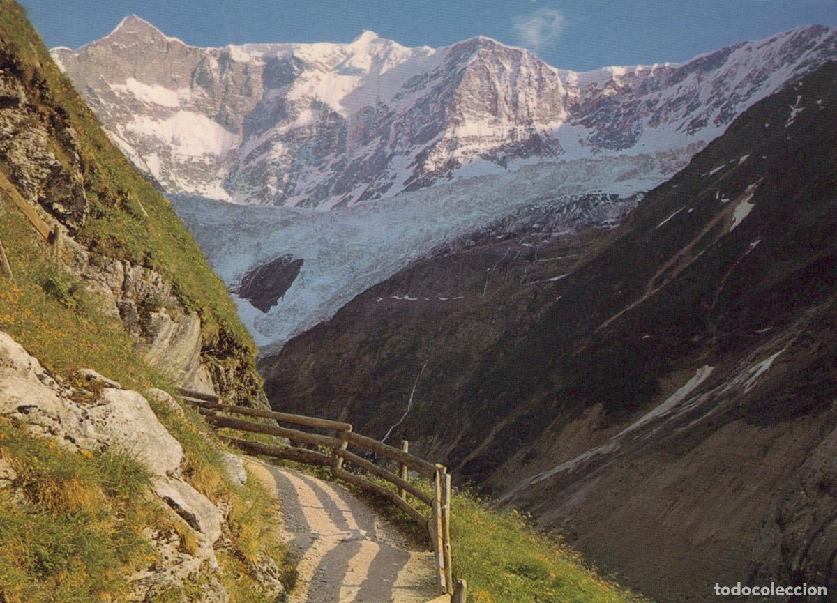 Cartes Postales: Switzerland Grindelwald Pfingstegg Stieregg Fiescherh&ouml;rner Mountain *YAM913