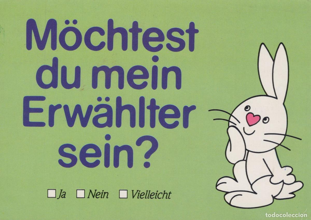 Postales: France Tournus Cute Bunny Rabbit Would You Be My Chosen One German *YAM938