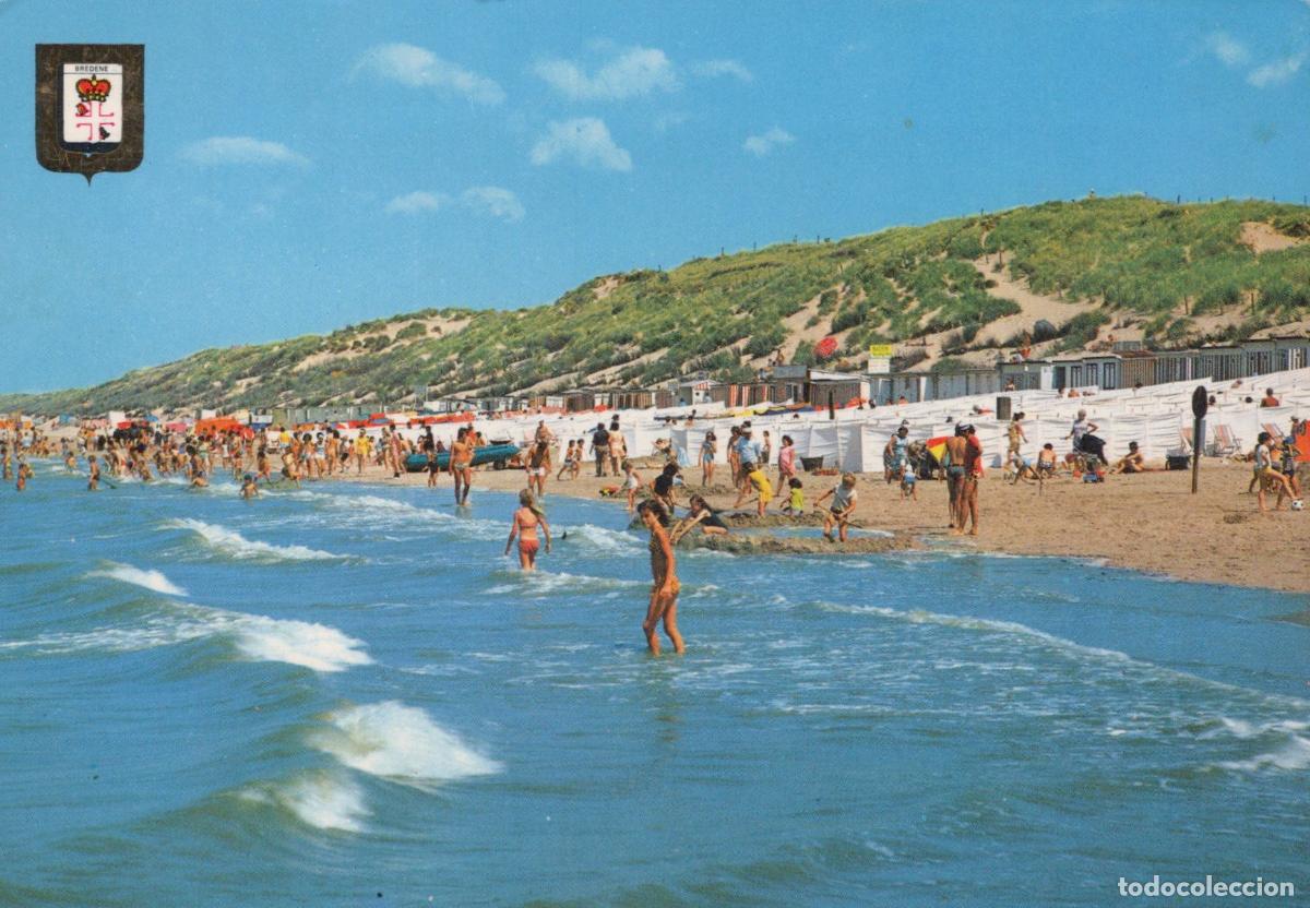 Postcards: Belgium Bredene Beach People Swimming Sunbathing Sand Dunes *YAN037