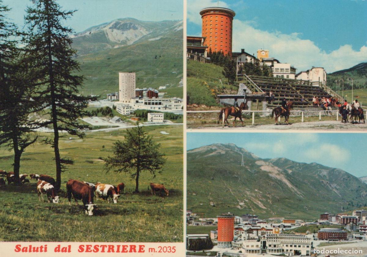 Postkarten: Italy Sestriere Mountain Resort Panorama Cows Grazing Horse Unposted *YAN128
