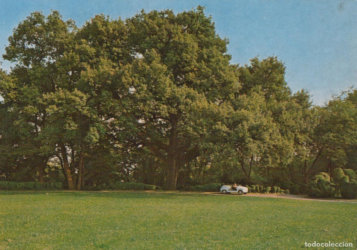 Postkarten: Italy Valeggio Sul Mincio Verona Sigurt&agrave; Garden Park Oak Tree Unposted *YAN115