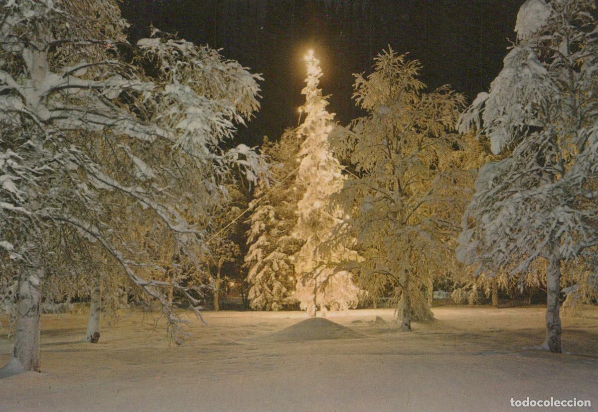 Postkarten: Italy Trento Trentino Winter Night Scene With Illuminated Snow Unposted *YAN320