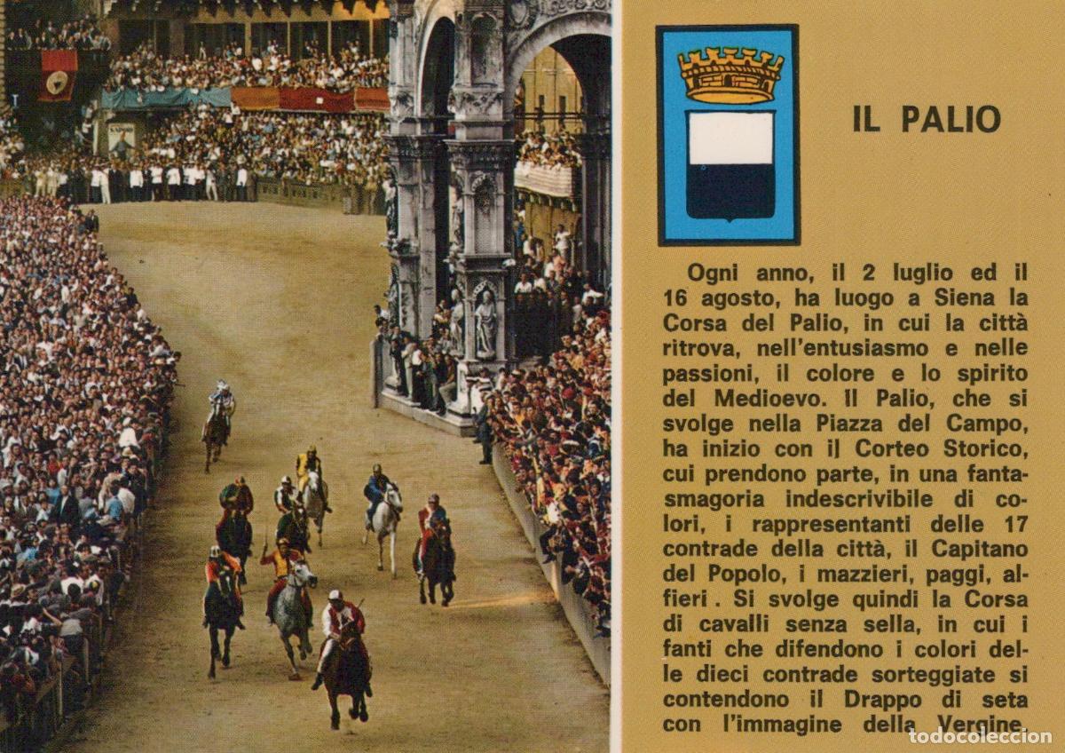 Postcards: Italy Siena Palio Horse Race Piazza del Campo Medieval Festival Unposted *YAN318