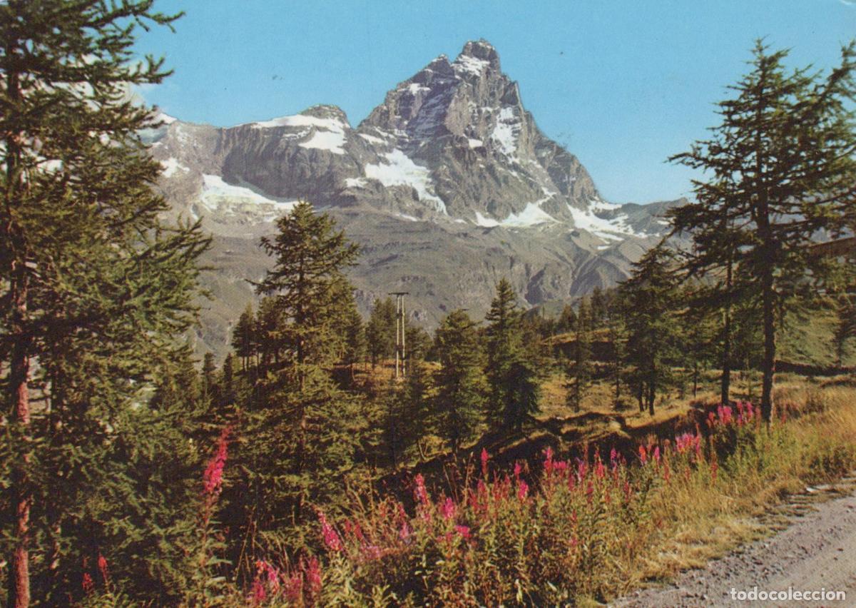 Cartoline: Italy M Cervino Mountain Landscape With Trees Flowers *YAN423