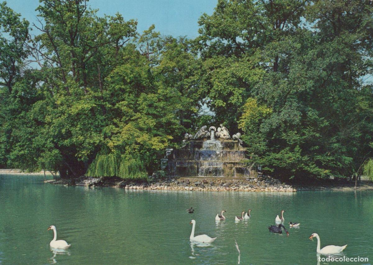 Cartoline: Italy Parma Ducal Park Lake With Swans and Fountain *YAN479