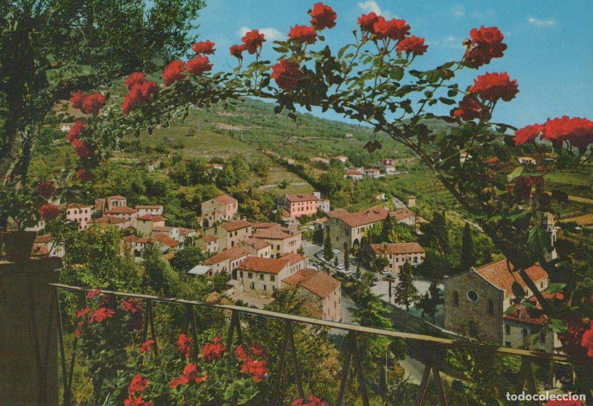 Postkarten: Italy Arqu&agrave; Petrarca Colli Euganei Panoramic View With Red Roses *YAN351