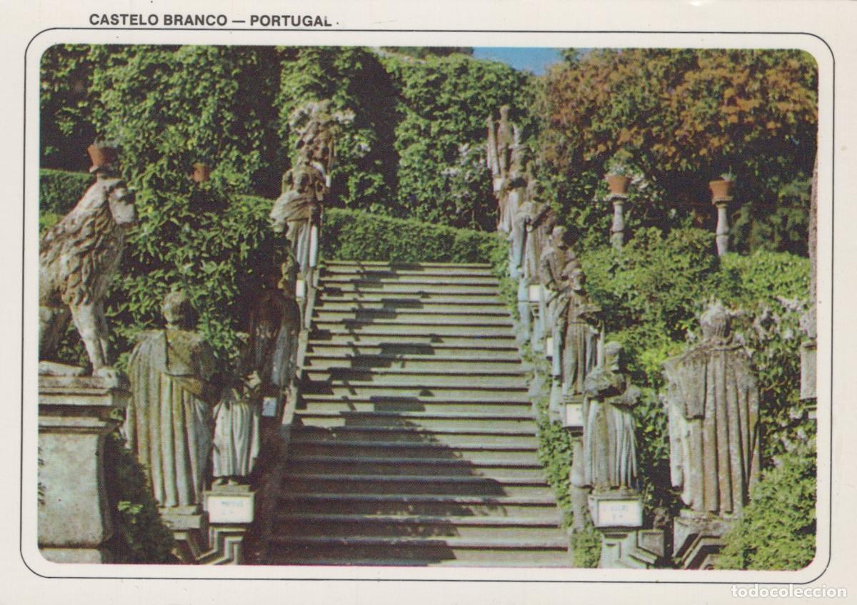 Postais: Portugal Castelo Branco City Hall Gardens the Apostles Steps Unposted *YAN565
