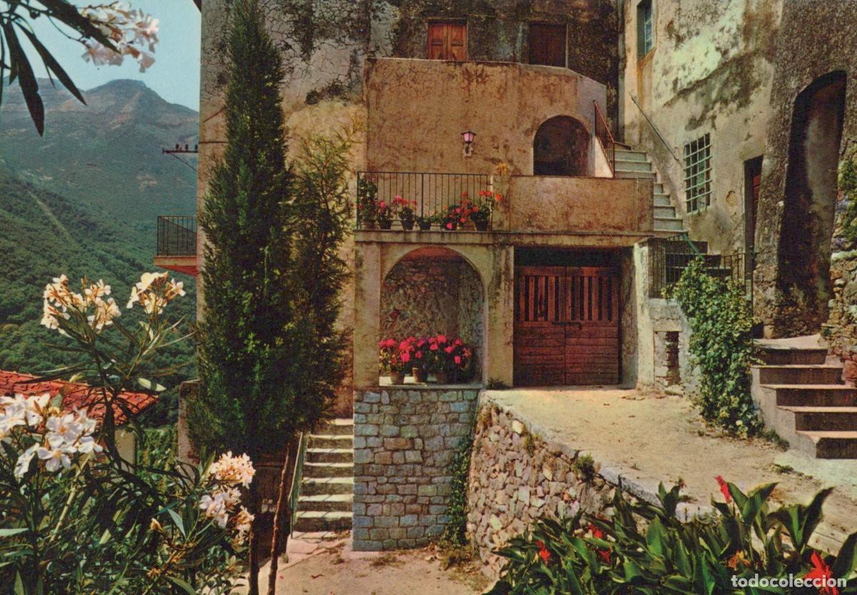 Cartoline: Italy Marciana Elba Picturesque Via Delle Noci Street Scene Unposted *YAN585