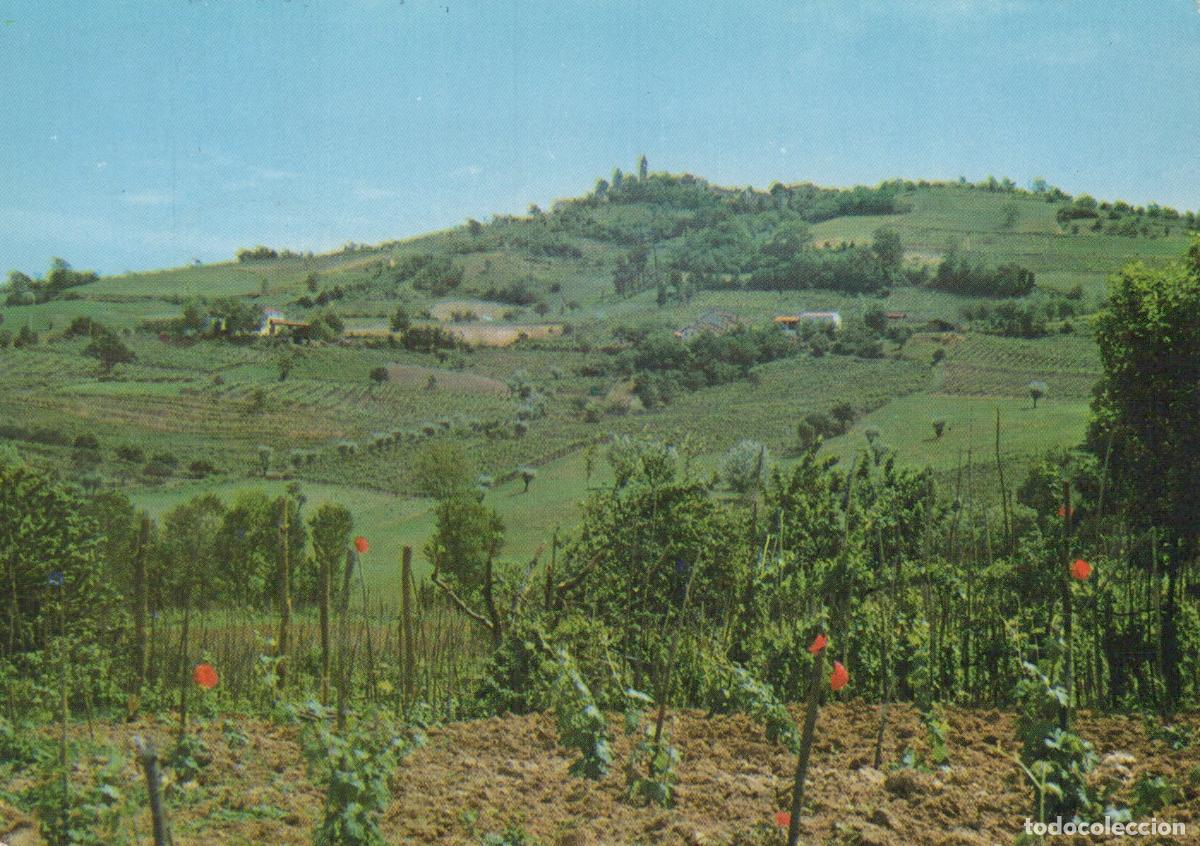 Postales: Italy Golferenzo Panorama Rural Landscape Hillside Village Poppies *YAN426