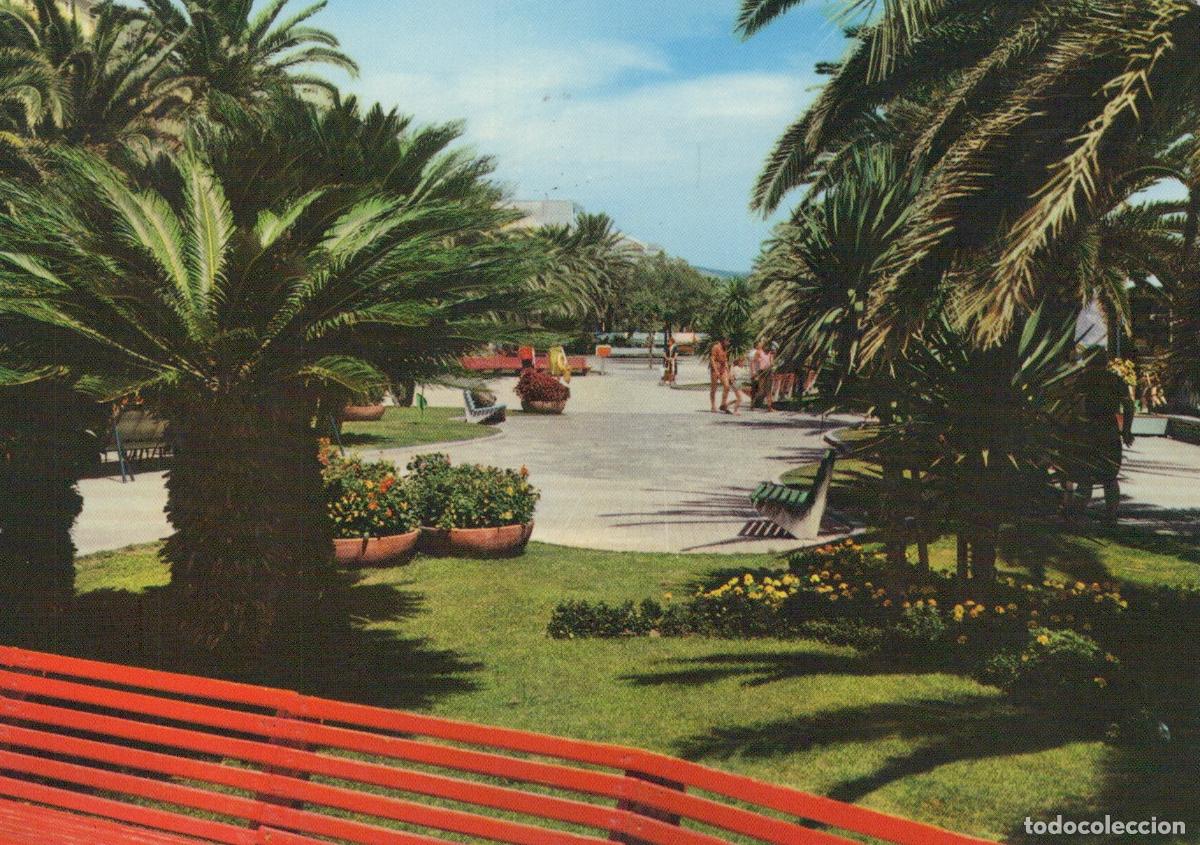 Postcards: Italy Loano Giardini Gardens Palm Trees People Walking 1960s *YAN789