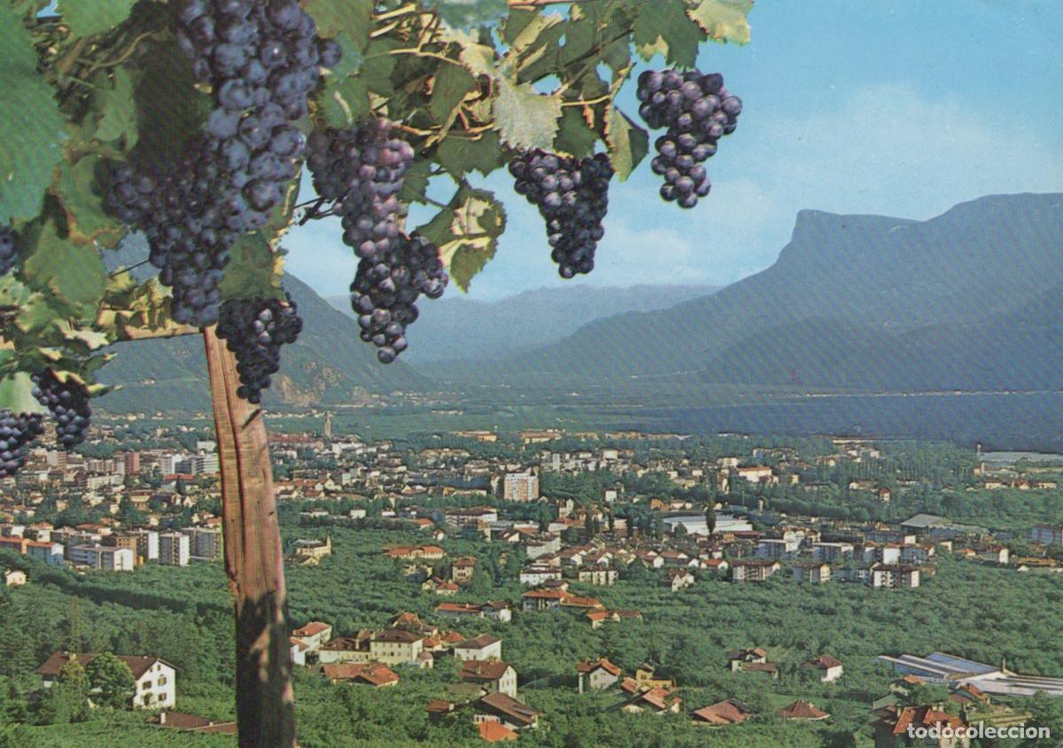 Postales: Italy Merano Gratsch Against Mendel Vineyard Panorama *YAN818