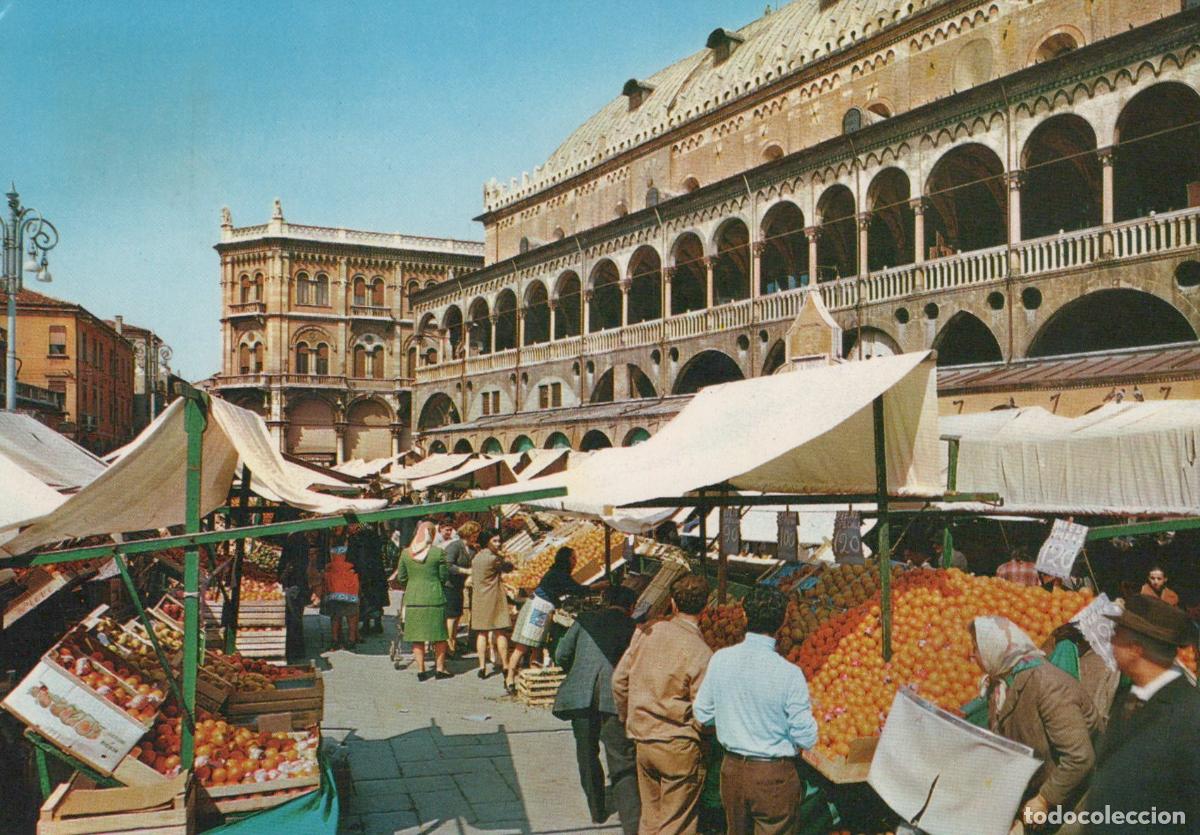 Postcards: Italy Padova Piazza Delle Erbe Green Market With Palazzo della Ragione *YAN692