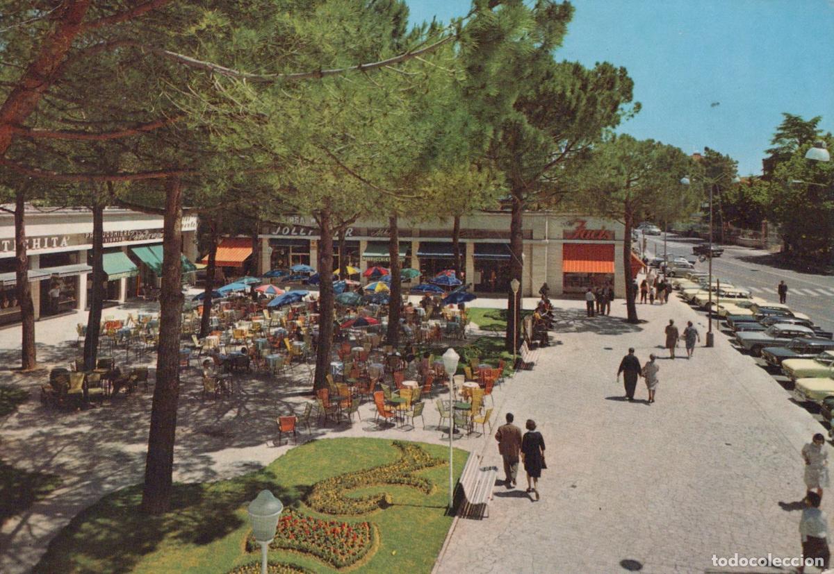 Cartes Postales: Italy Chianciano Terme Piazza Italia Outdoor Cafes and Pine Trees *YAN990