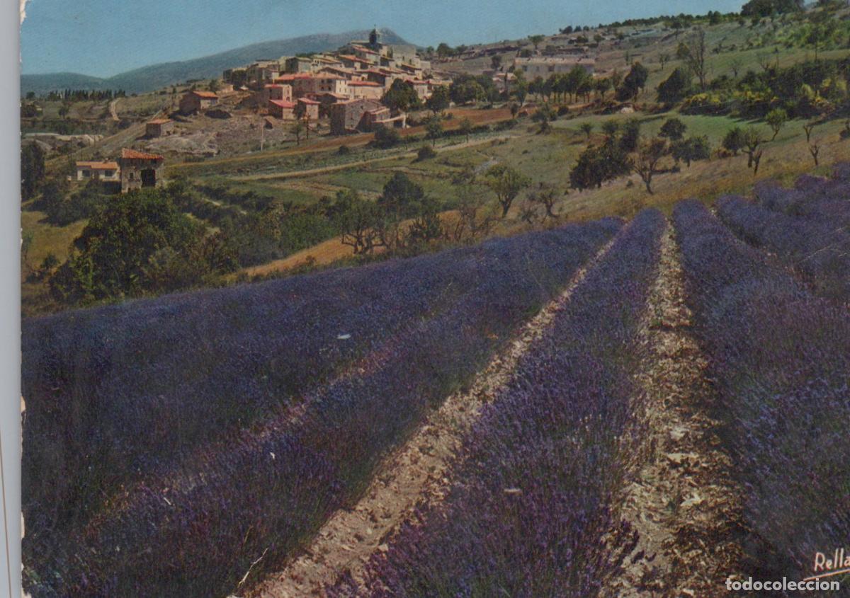 Cartes Postales: France Provence Lavender Fields With Hilltop Village *YAN721