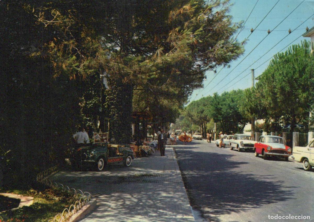 Postcards: Italy Riccione Viale Dante Avenue Street Scene With Cars and People *YAN787