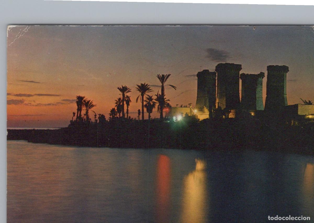 Postcards: Italy Gallipoli Oasi Delle Quattro Colonne Nocturnal Beauty Palm Trees *YAN797