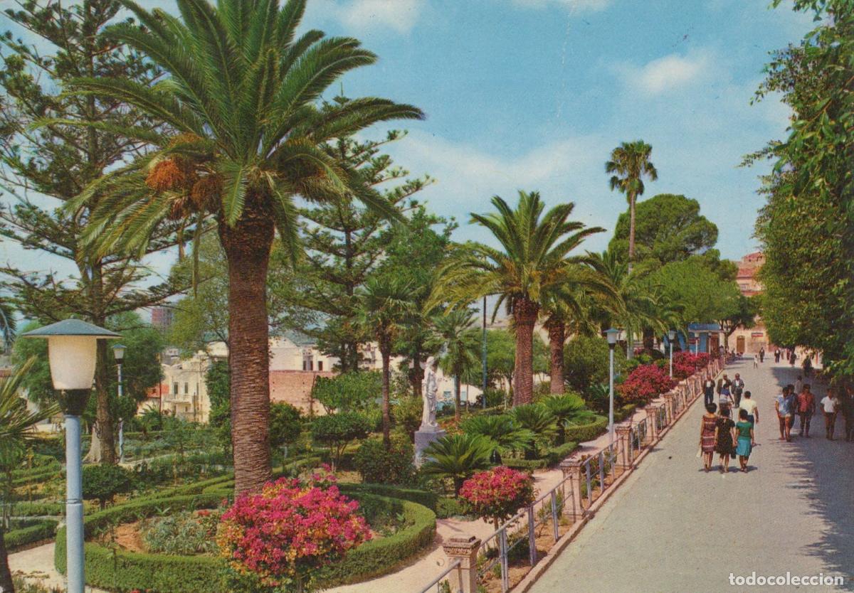 Postcards: Italy Noto Public Gardens Palm Trees and Flowers People Walking *YAN837