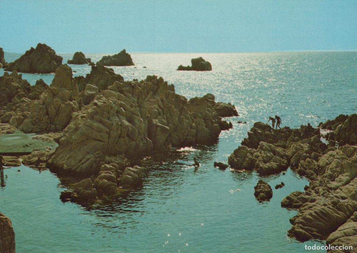 Cartes Postales: Italy Costa Paradiso Sardinia Rocky Coastline Swimmers and Unposted *YAP075