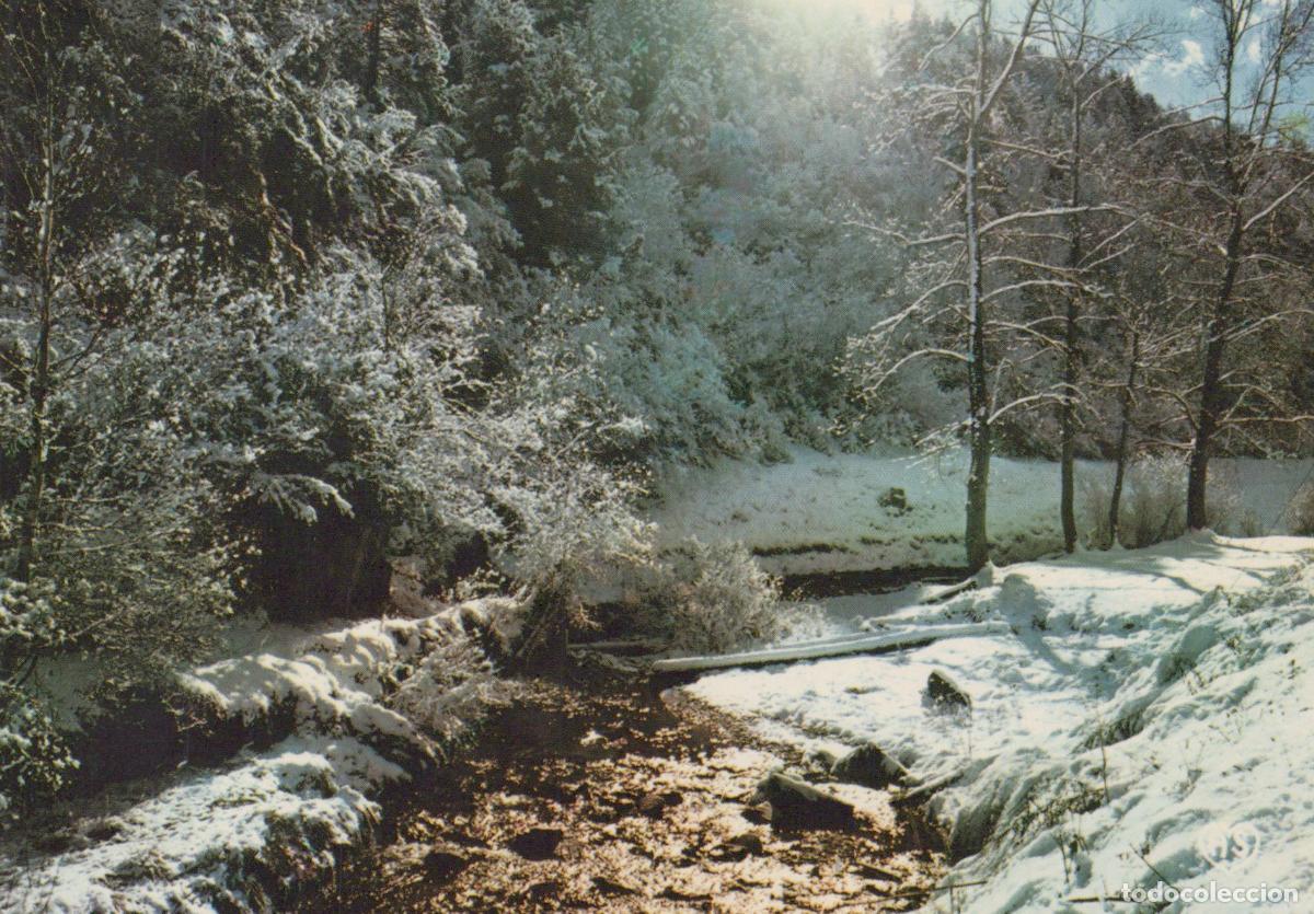 Cartes Postales: Andorra Valls D Andorra Winter Landscape Snowy Trees Stream Nature Scene *YAP111