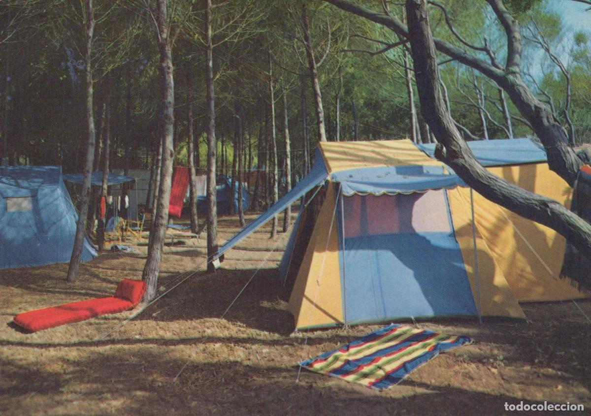 Postcards: Italy Paestum Camping Village Dei Pini Tents in Pine Forest Unposted *YAP192
