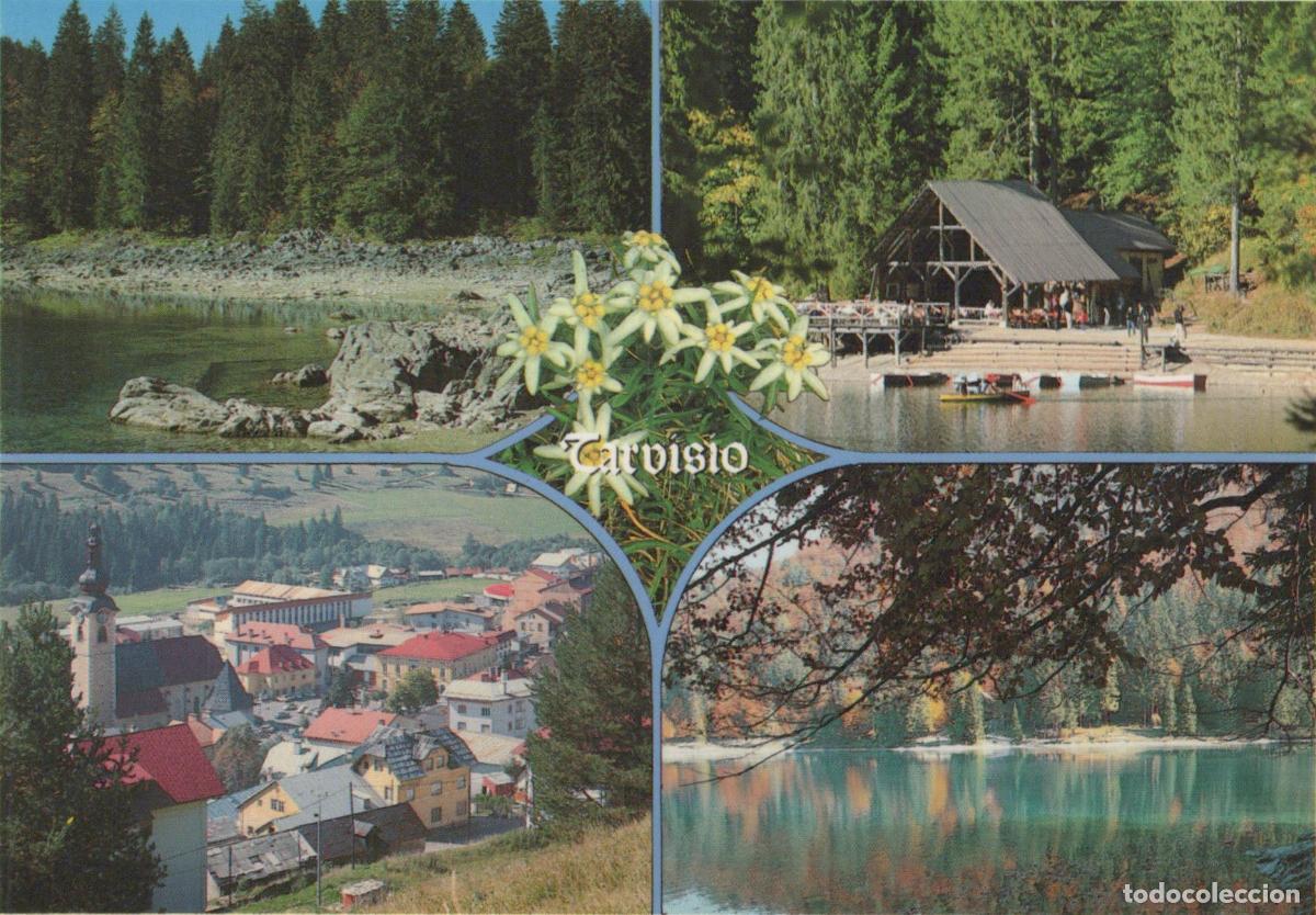 Postcards: Italy Tarvisio Mountain Lake Village Edelweiss Flowers Multi Unposted *YAP244