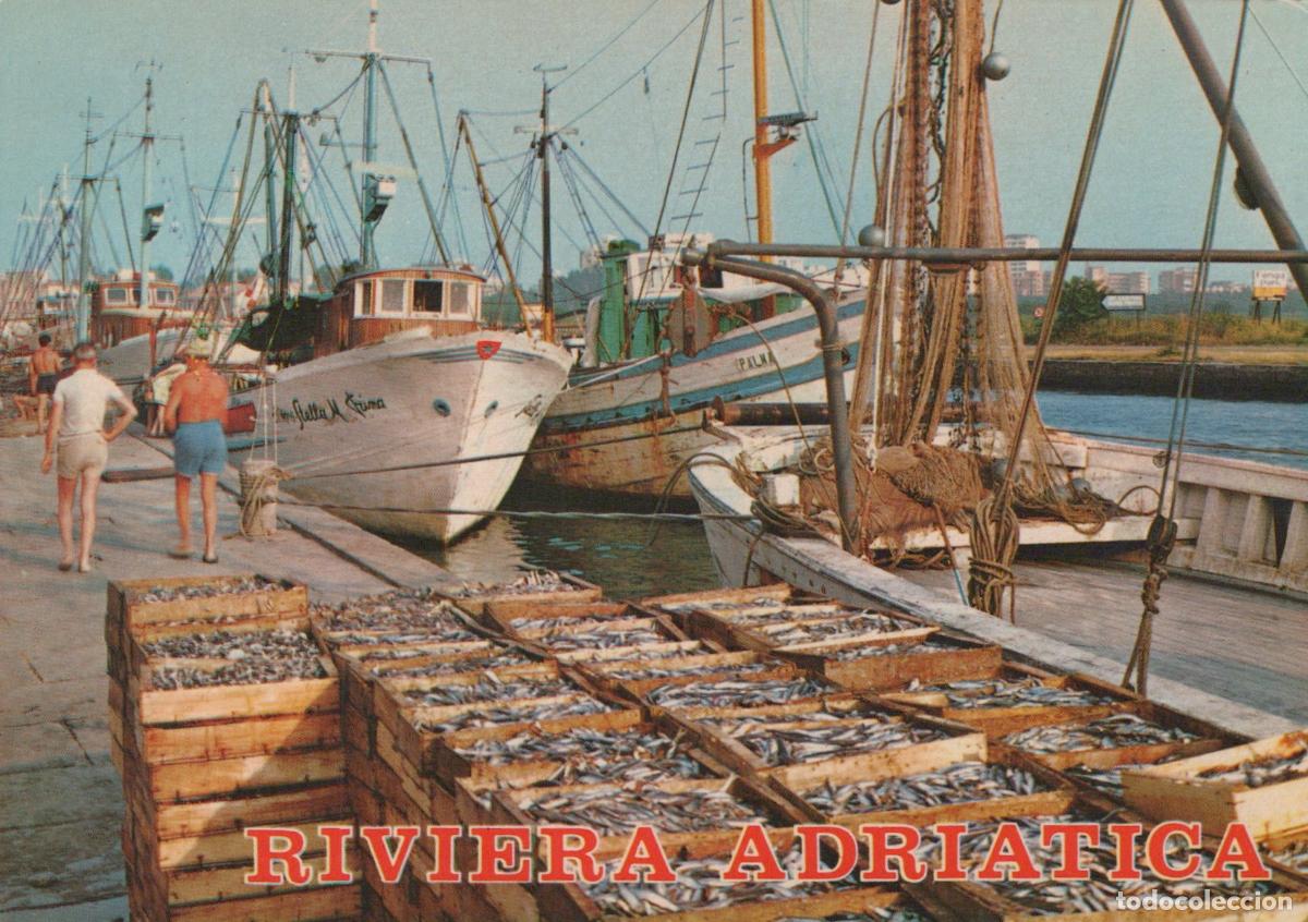 Cartes Postales: Italy Rimini Riviera Adriatica Fishing Boats Fishermen and Fresh Fish *YAP309