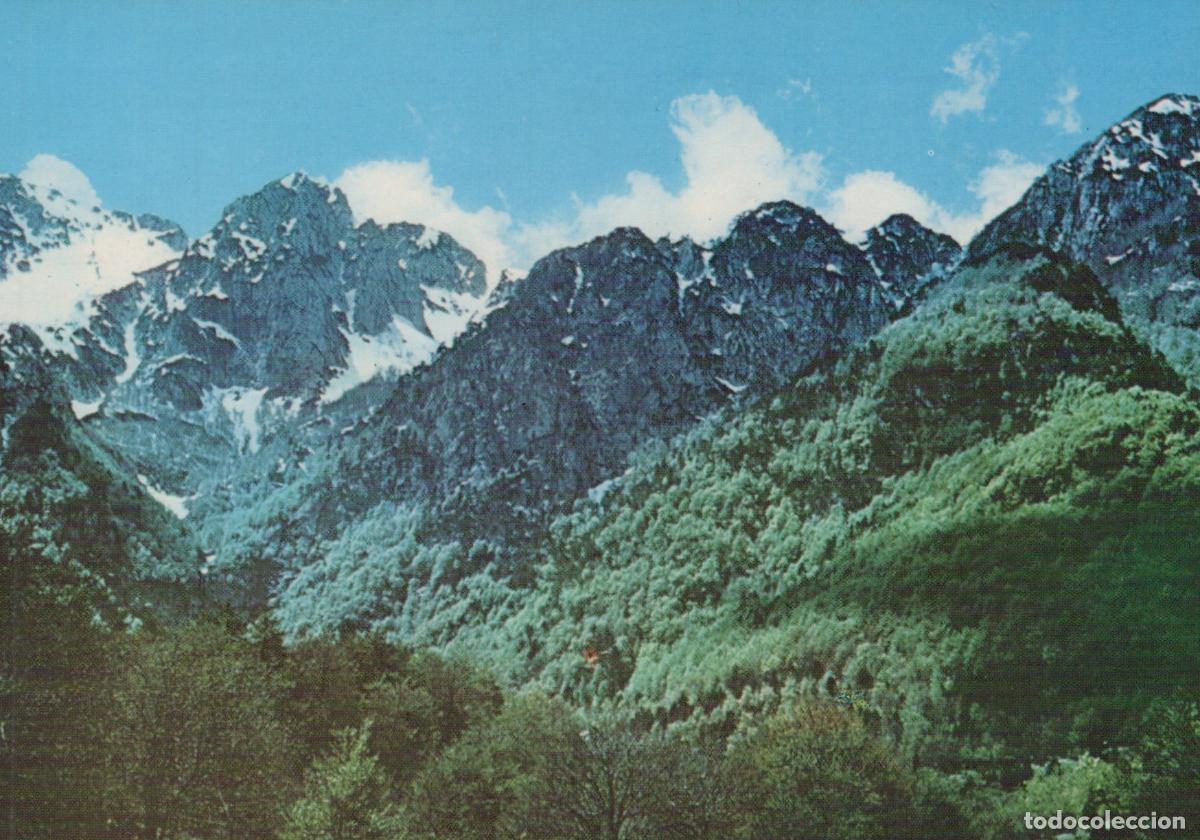 Cartes Postales: Italy National Park Montagne della Camosciara Landscape Unposted *YAP205