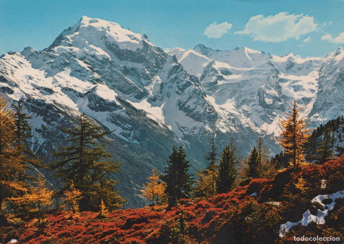 Postcards: Italy Ortler Alps South Tyrol Mountain Landscape Autumn Snow Trees *YAP350