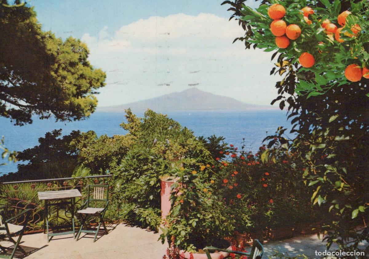 Cartes Postales: Italy Sorrento Mount Vesuvius Seen From the Gardens *YAP261
