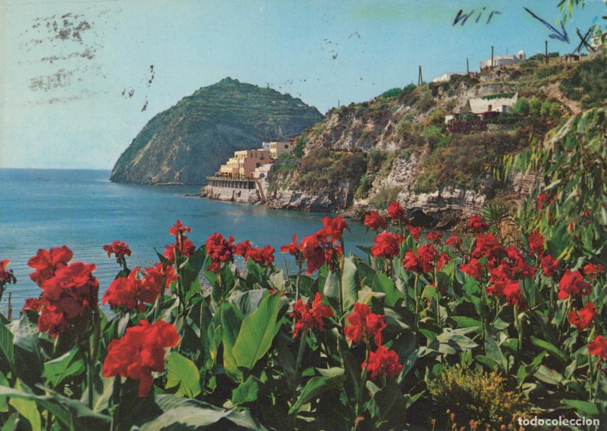 Postkarten: Italy Ischia S Angelo Coastal Landscape With Red Flowers and Buildings *YAP354