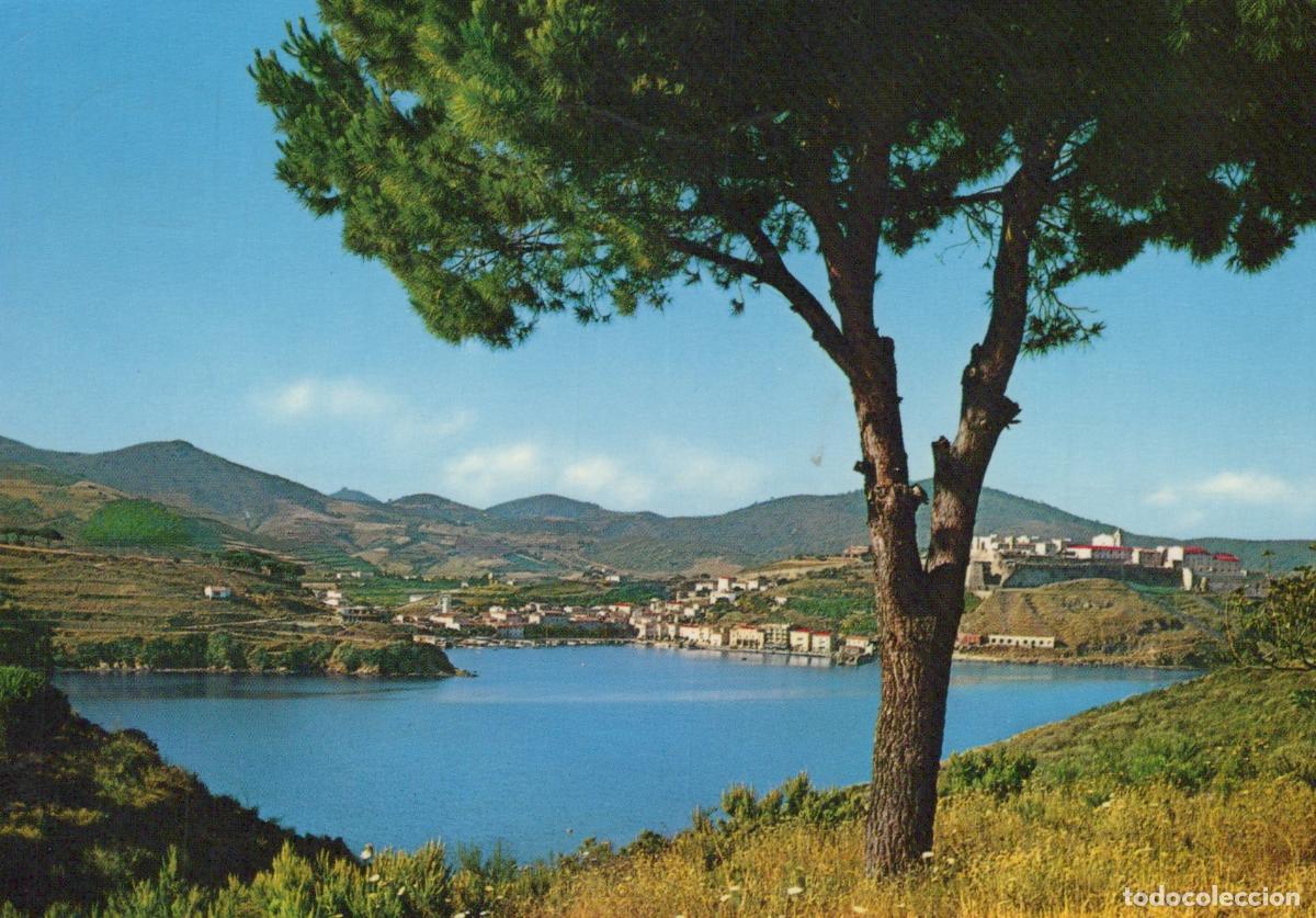 Postkarten: Italy Porto Azzurro Elba Coastal Town Landscape Pine Tree View *YAP356