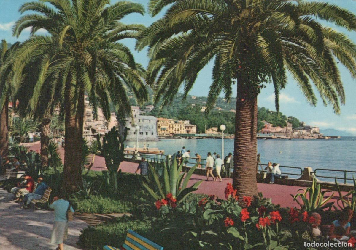 Postkarten: Italy Rapallo Seaside Promenade With Palm Trees and People *YAP618