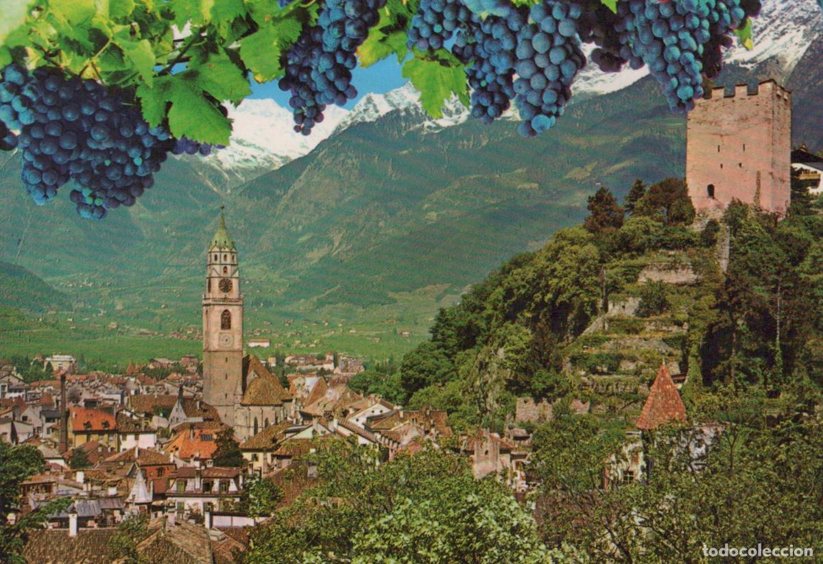 Postais: Italy Merano Cityscape With Tower Castle Mountains Grapes *YAP364