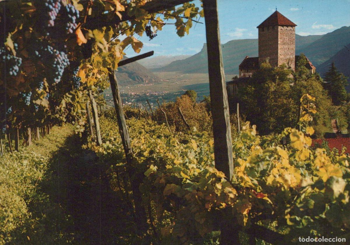 Postais: Italy Meran Castle Tyrol Vineyard Landscape 1972 *YAP429