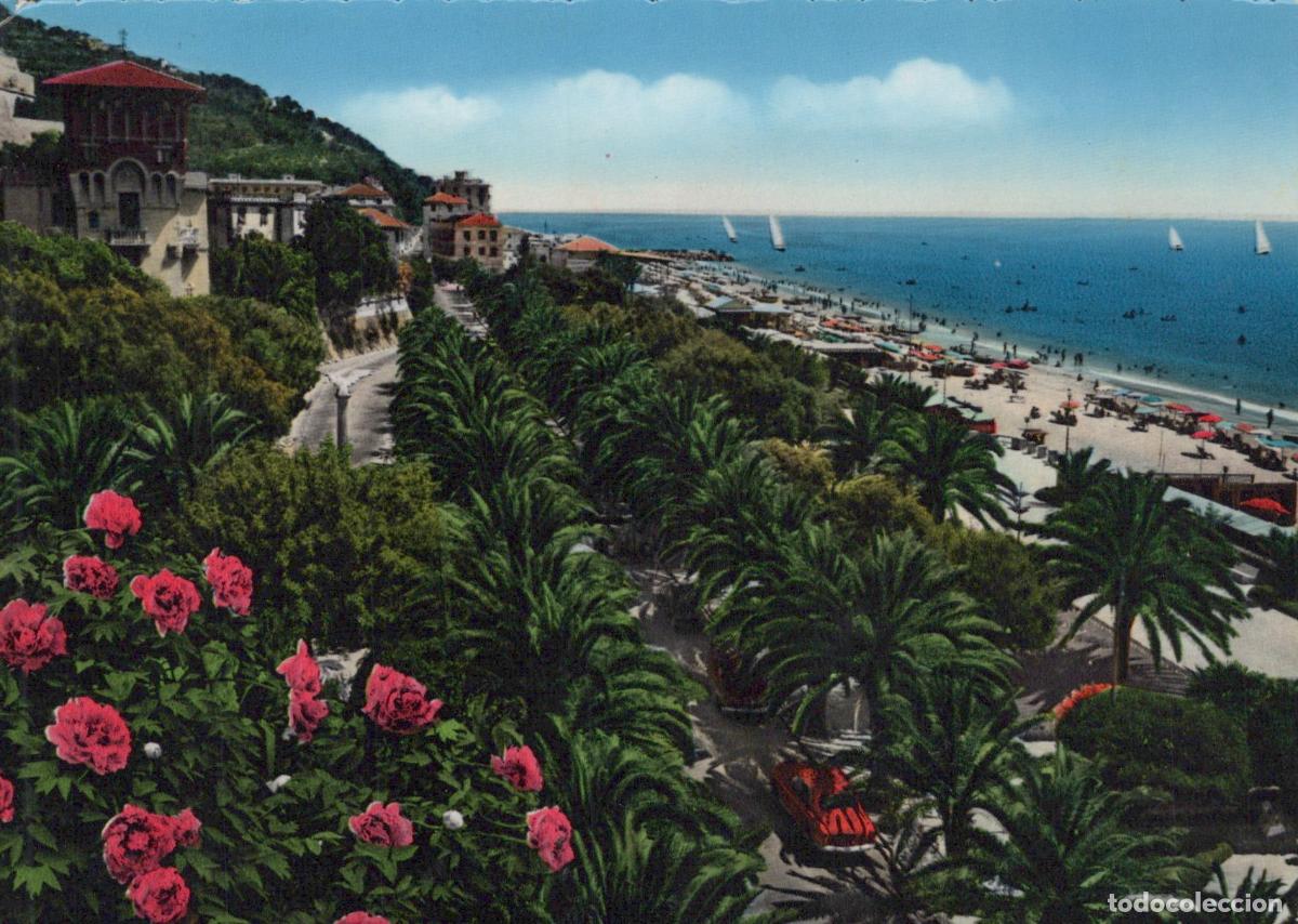 Postais: Italy Finale Ligure Riviera Delle Palme Oasis of Palm Trees Beach View *YAP431