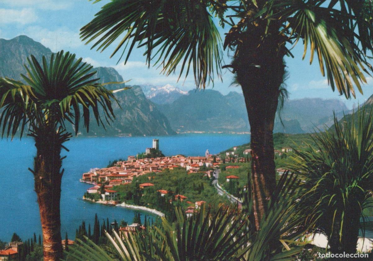 Cartes Postales: Italy Malcesine Lake Garda Panorama With Palm Trees *YAP459