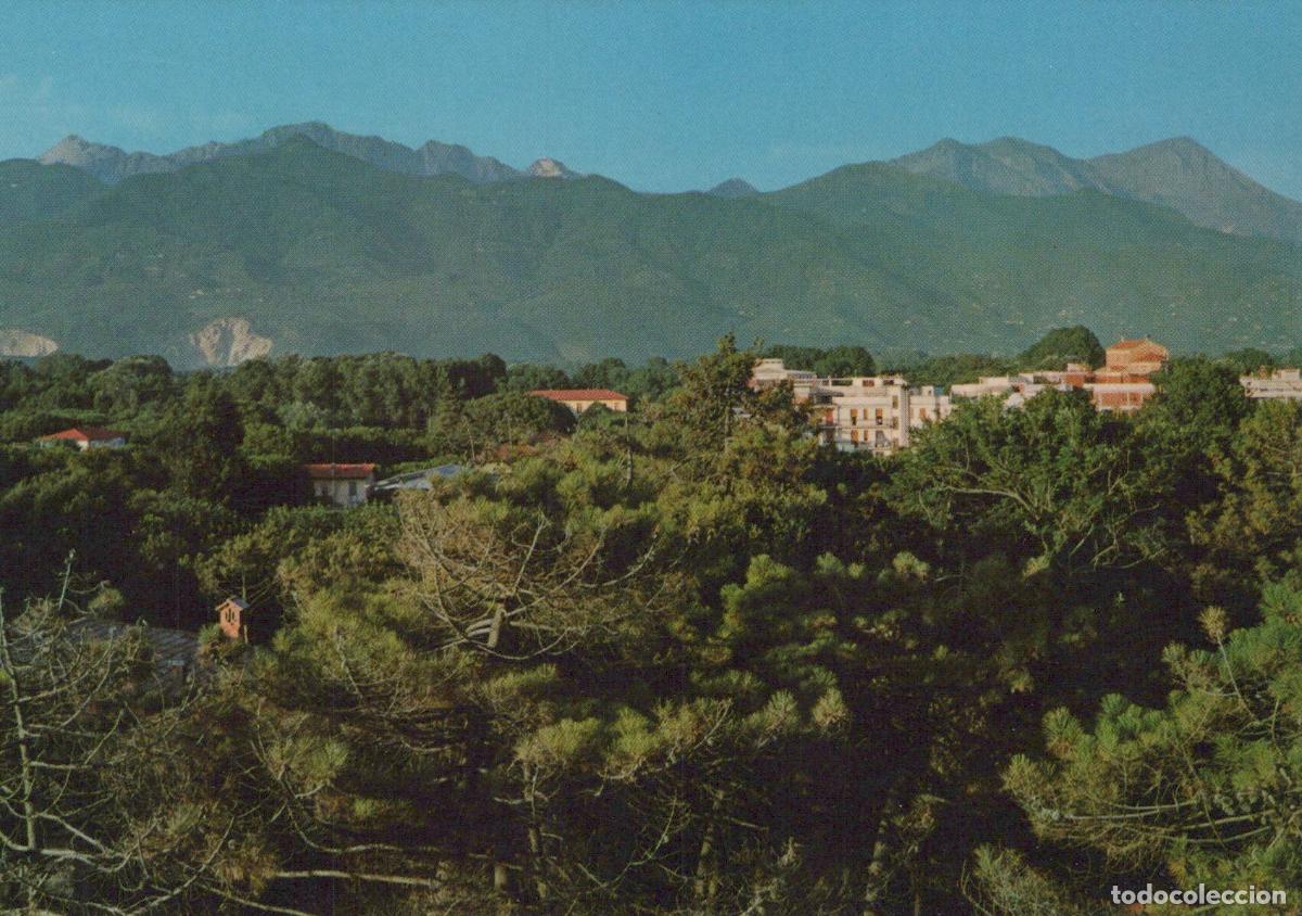 Postales: Italy Vittoria Apuana Pine Trees and Apuane Alps Landscape Unposted *YAP830