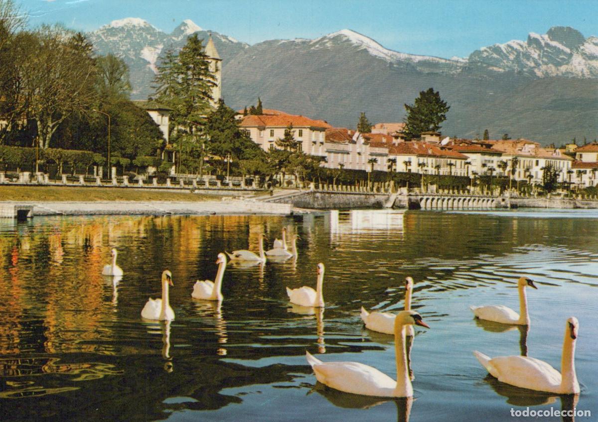 Postais: Italy Baveno Lago Maggiore Swans On Lake With Town and Unposted *YAP850