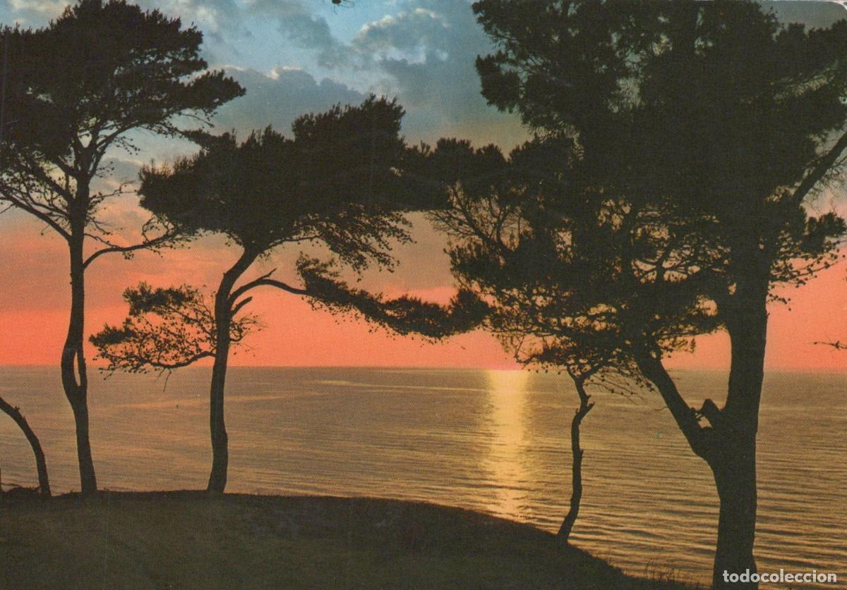 Postais: Italy Vieste Gargano Pittoreco Mattinata Sunset Over Adriatic Sea *YAP930
