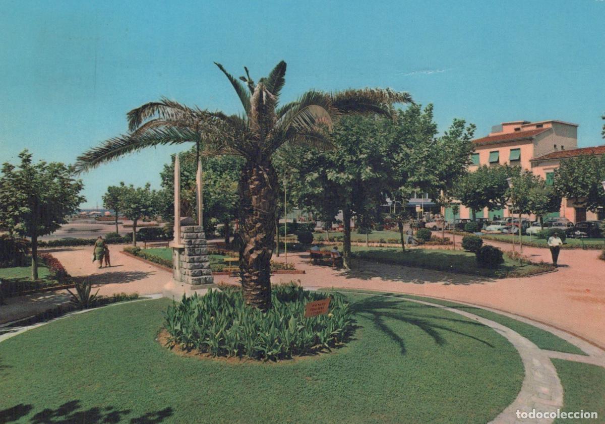 Postais: Italy Marina DI Pietrasanta Piazza XIV Maggio Palm Trees Park Square *YAP622
