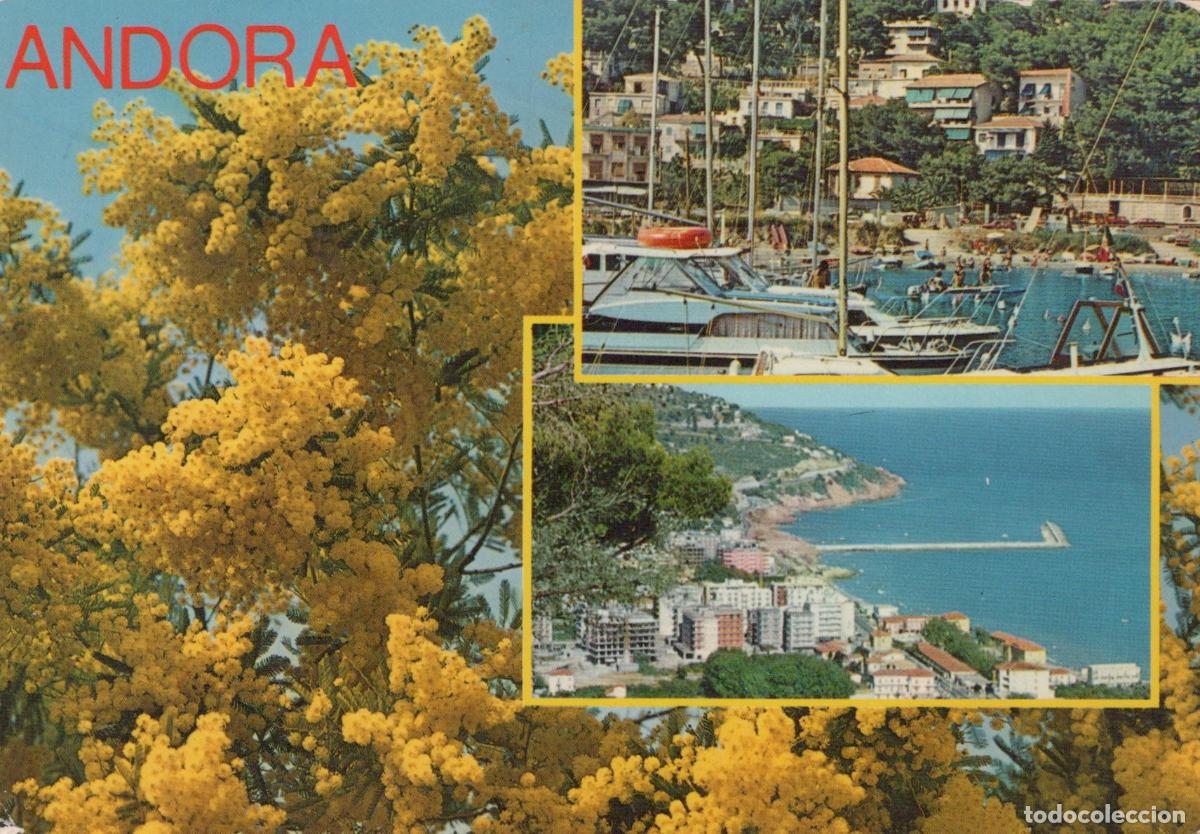 Postais: Italy Andora Mimosa Flowers Marina and Coastal Town View *YAP636