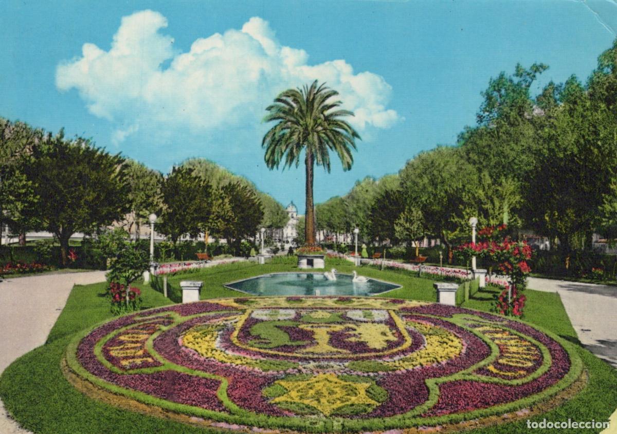 Cartes Postales: Portugal Coimbra Parque de Sr Manuel Braga Formal Gardens Palm Tree *YAP716