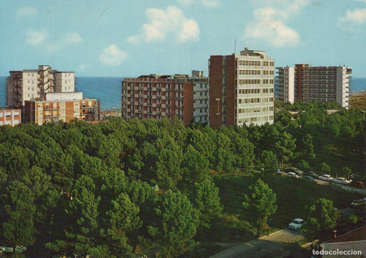 Cartes Postales: Italy Lido Degli Scacchi Ferrara Pineta and Hotels Coastal Resort *YAP754
